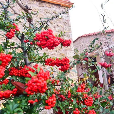 Gæstehus Aipytos Synikia Mesi Trikalon