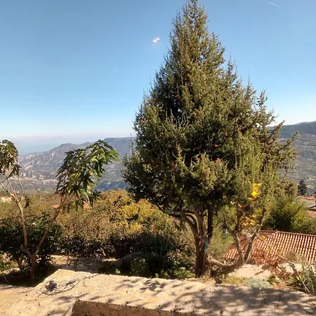 Aipytos Synikia Mesi Trikalon