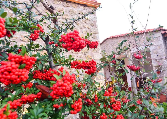 Penzion Aipytos Synikia Mesi Trikalon